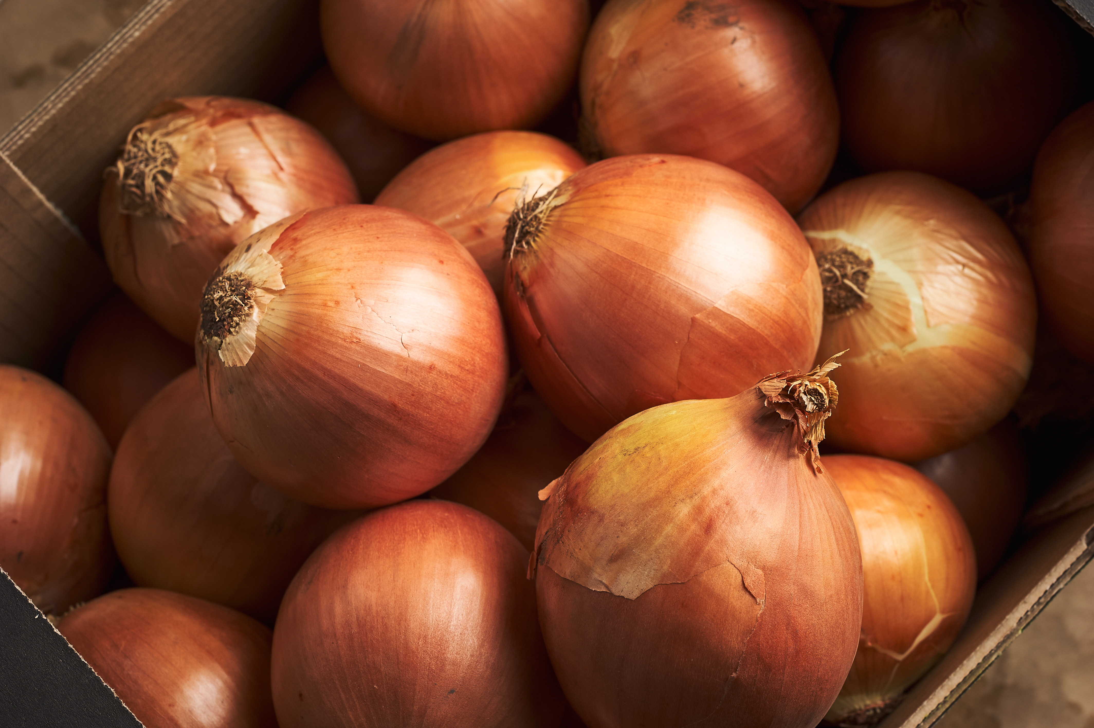 BIO Onion